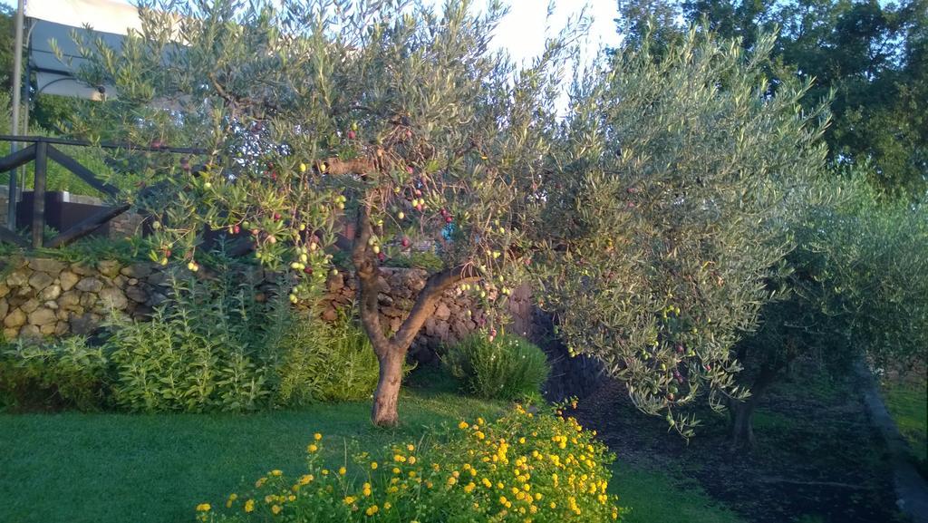 Seacily Etna House Piedimonte Etneo Quarto foto